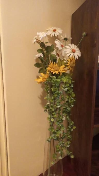 Appartement Daisy In Centro A Como